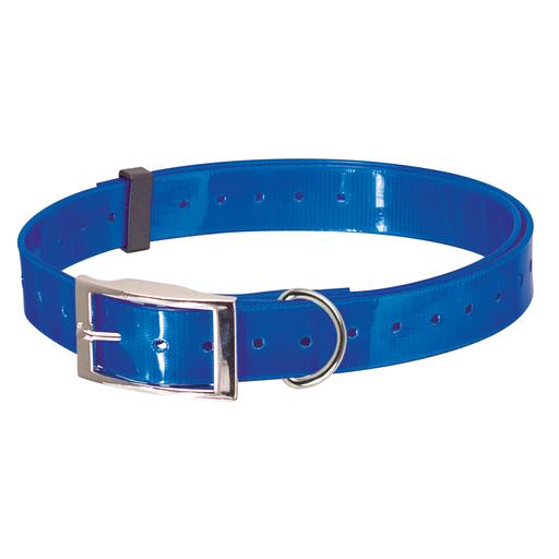 Collier fluo plein-air Couleur : Bleu