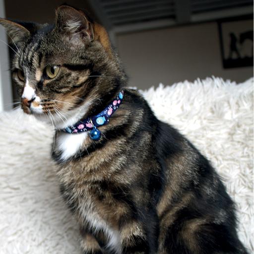 Collier "poisson" chat bleu