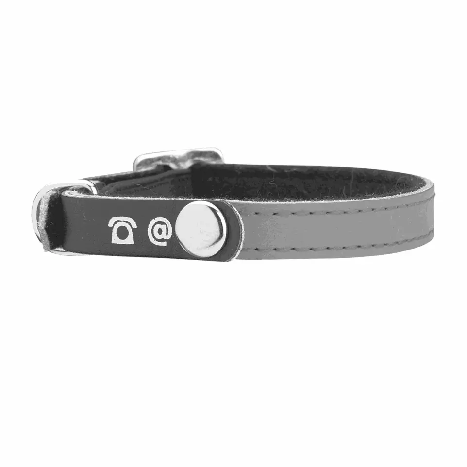 Collier chat porte adresse gris