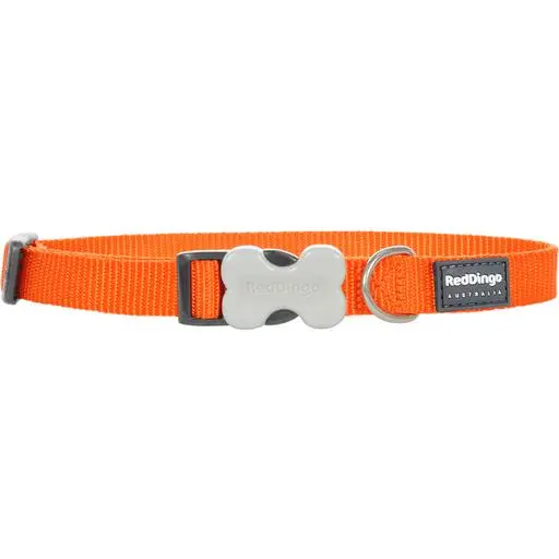 Collier chien réglable Red Dingo Basic orange Taille : T4