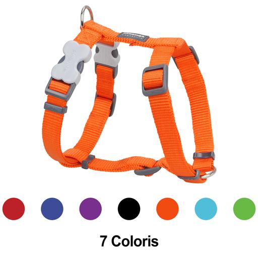 Harnais chien réglable Red Dingo Basic rouge  Taille : T1