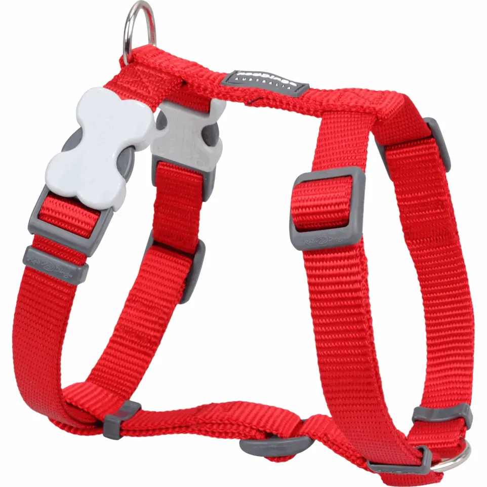 Harnais chien réglable Red Dingo Basic rouge Taille : T4