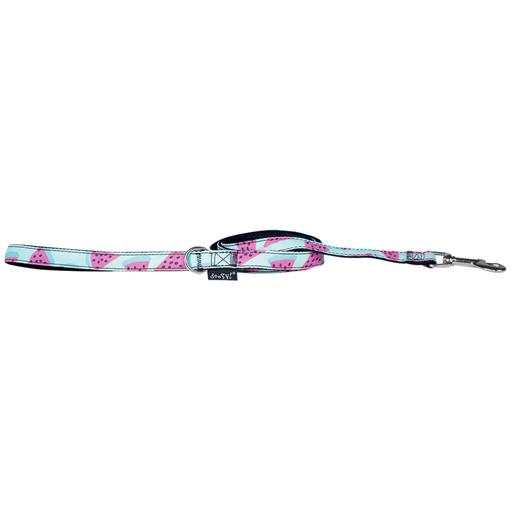 Laisse motif pastèques 120 cm Coloris : Rose