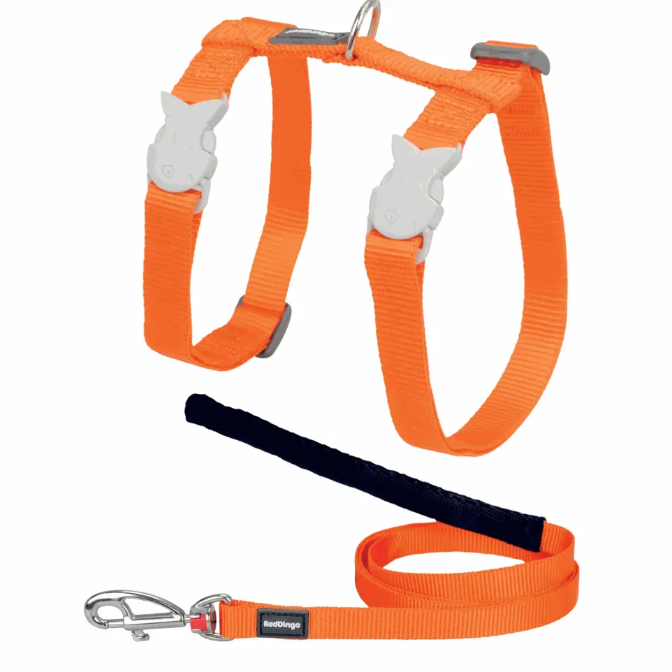 Ensemble harnais et laisse Red Dingo Chats Basic orange
