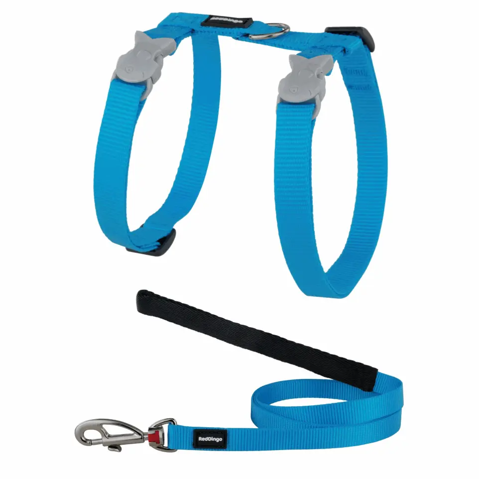 Ensemble harnais et laisse Red Dingo Chats Basic turquoise