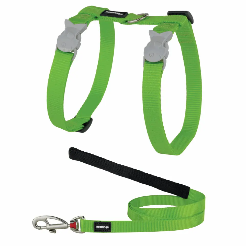 Ensemble harnais et laisse Red Dingo Chats Basic vert