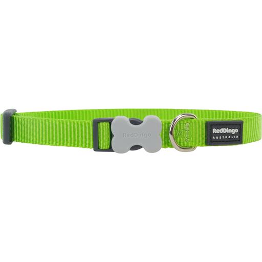 Collier chien réglable Red Dingo Basic Vert Taille : T1