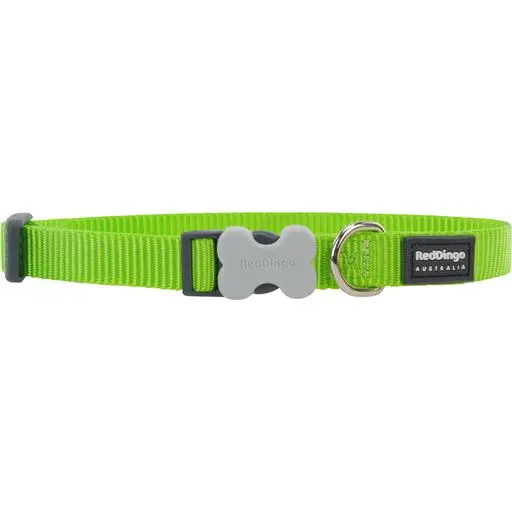 Collier chien réglable Red Dingo Basic Vert Taille : T2