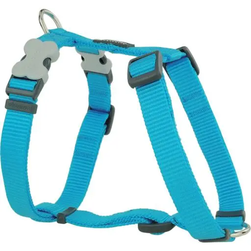 Harnais chien réglable Red Dingo Basic turquoise Taille : T2