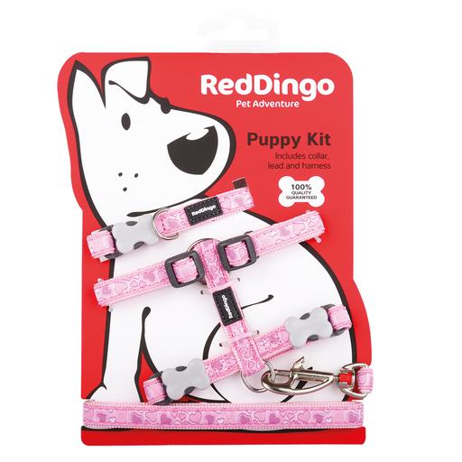 Pack Chiot Red Dingo fantaisie :  Rose