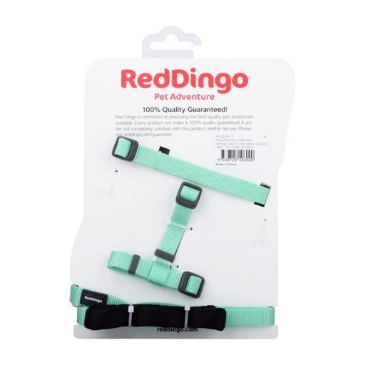Pack chiot Red Dingo vert pastel