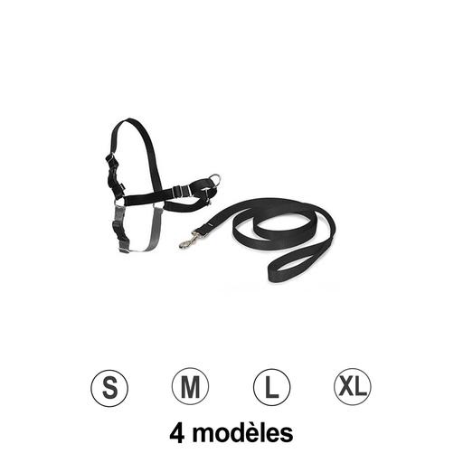 Harnais Easy Walk et Laisse Noir S