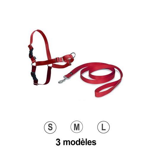 Harnais Easy Walk et Laisse Rouge S
