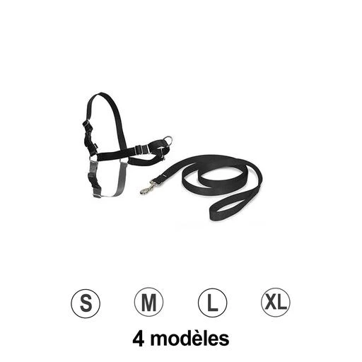 Harnais Easy Walk et Laisse Noir L