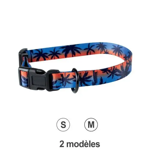 Collier Florida pour chien Taille : M