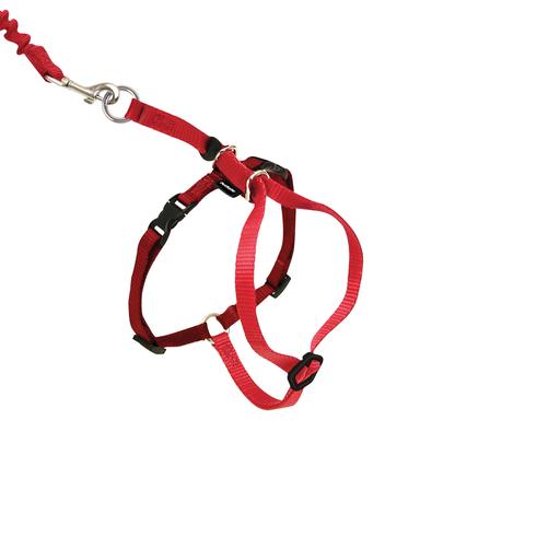 Harnais chat Easy Walk rouge M