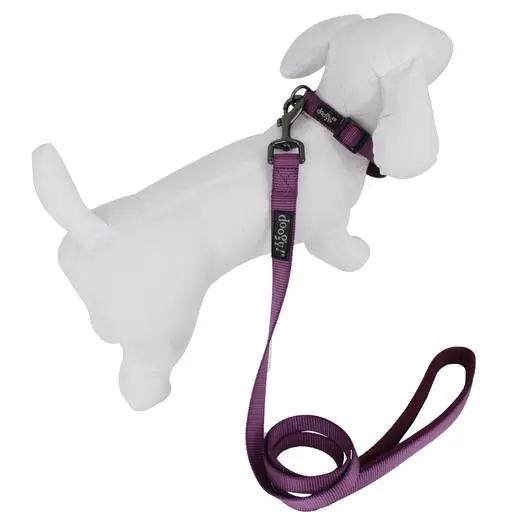 Collier nylon chien Classica Violet Doogy Taille : M