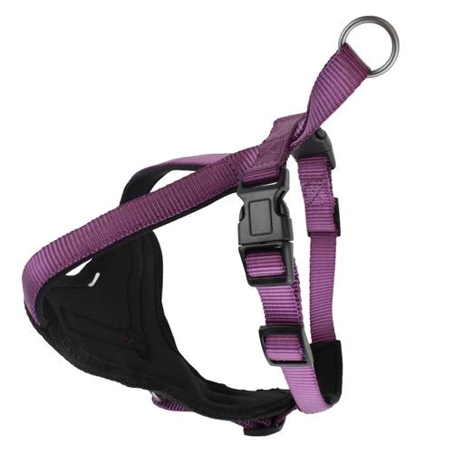 Harnais nylon chien Classica Violet Doogy Taille : L