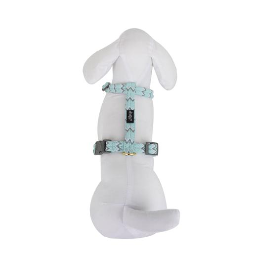 Harnais chien Brasil Turquoise Doogy T XS