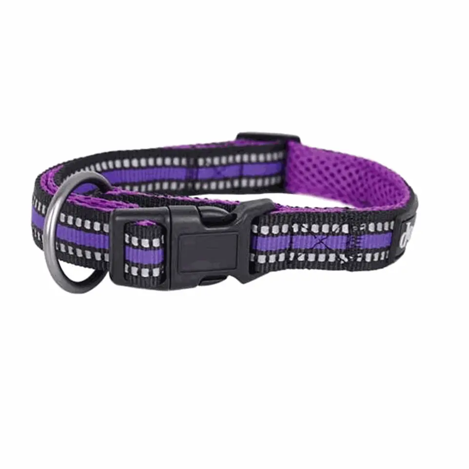 Collier chien violet Sport Doogy T M