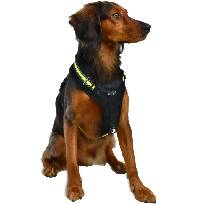 Harnais chien jaune Sport Doogy T L