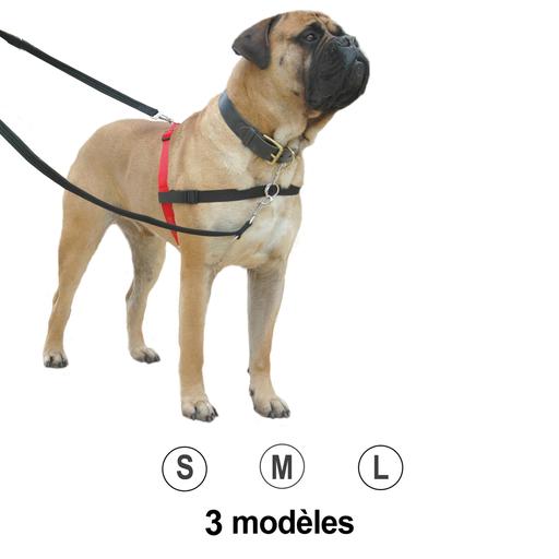 Harnais de contrôle petit modèle