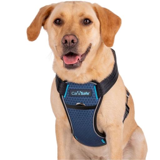 Harnais CarSafe Collision Bleu Taille : XS