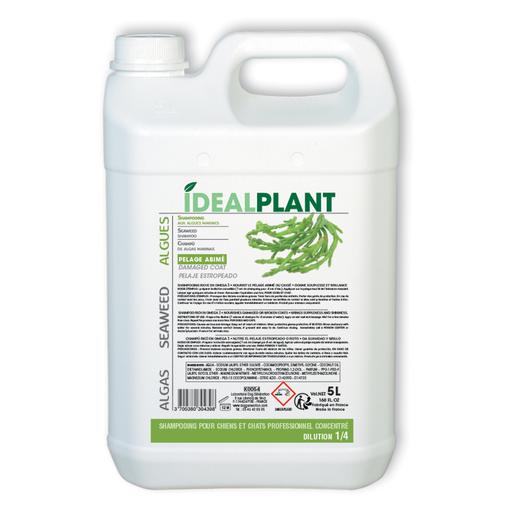 Shampoing aux algues marines IdealPlant : 5L