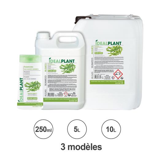 Shampoing aux algues marines IdealPlant : 250 ml