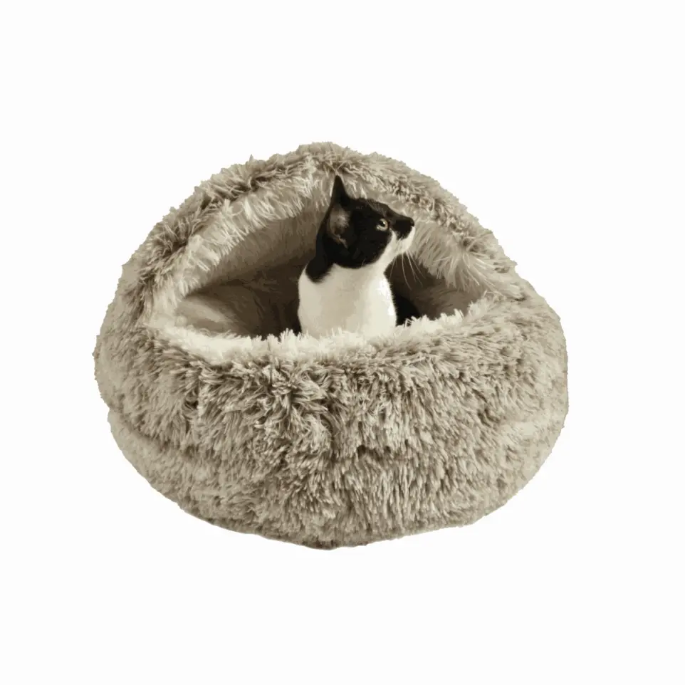Bulle poilu Beige