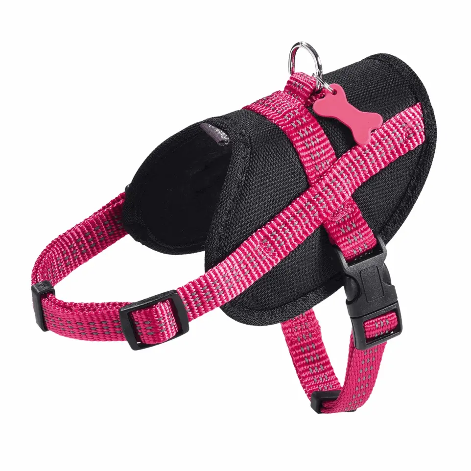 Harnais Easy Safe Fuschia Taille : XS