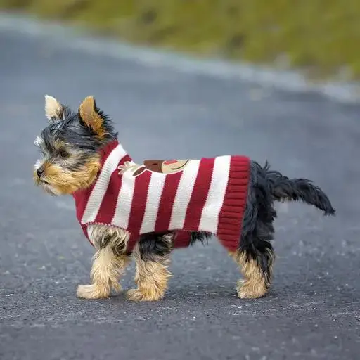 Pull rayé rouge renne de Noël pour chien T30