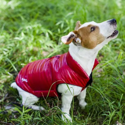 Doudoune Fun Fashion rose fuschia Taille : T36