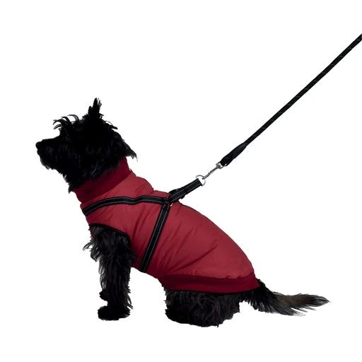 Manteau Bomber bordeaux avec harnais intégré Taille : 42L
