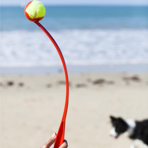 Shooter Idealdog pour chien