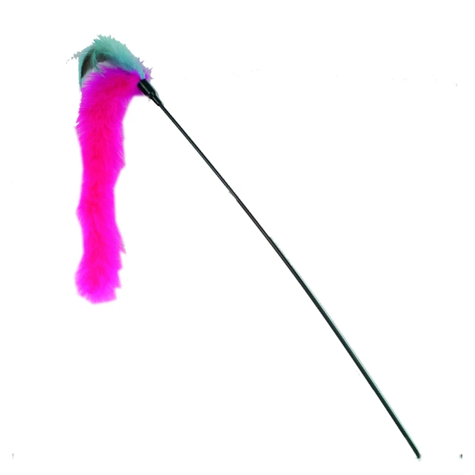 Fouet à  plumes Idealdog pour chat